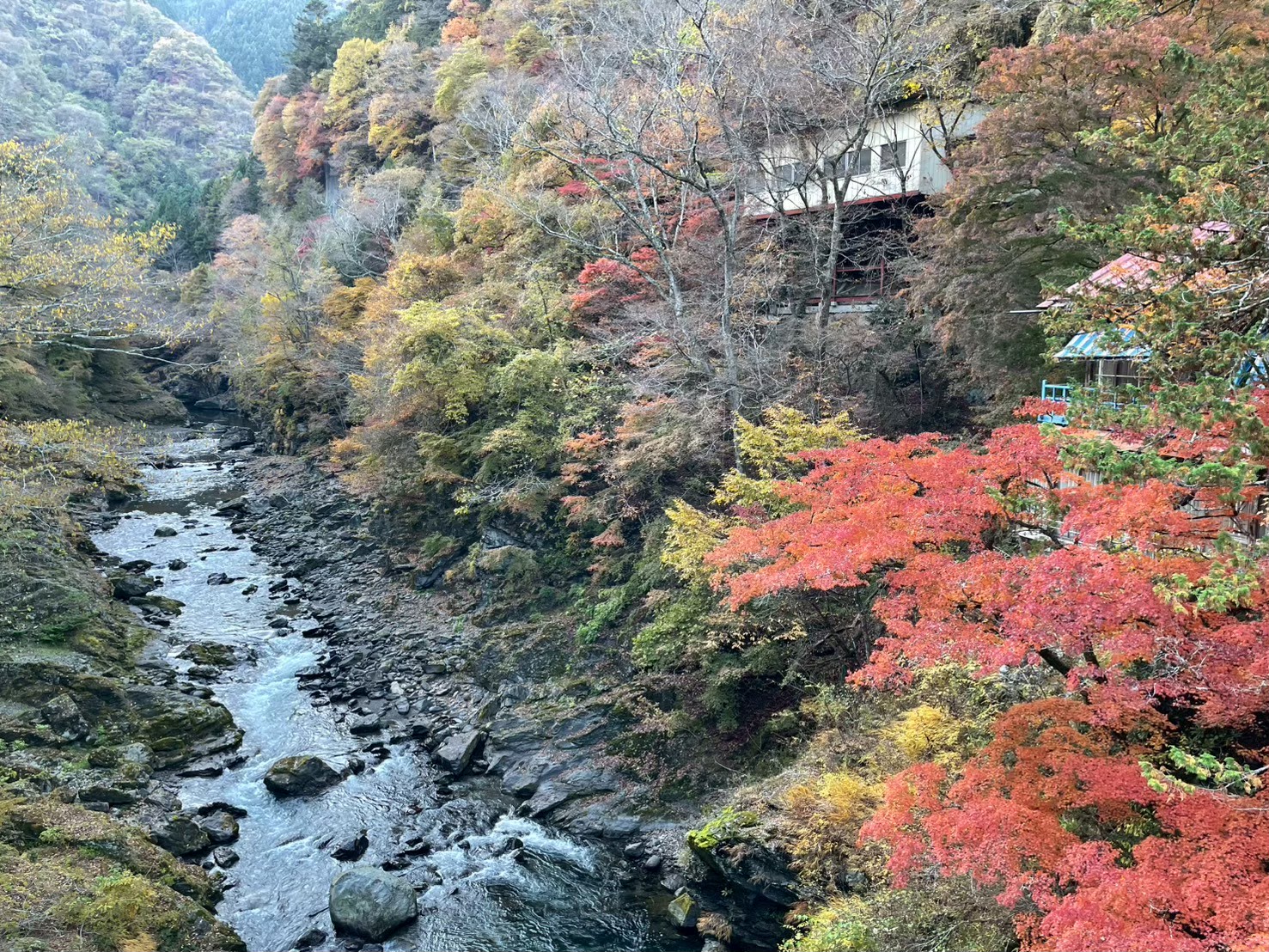 三峯神社の紅葉